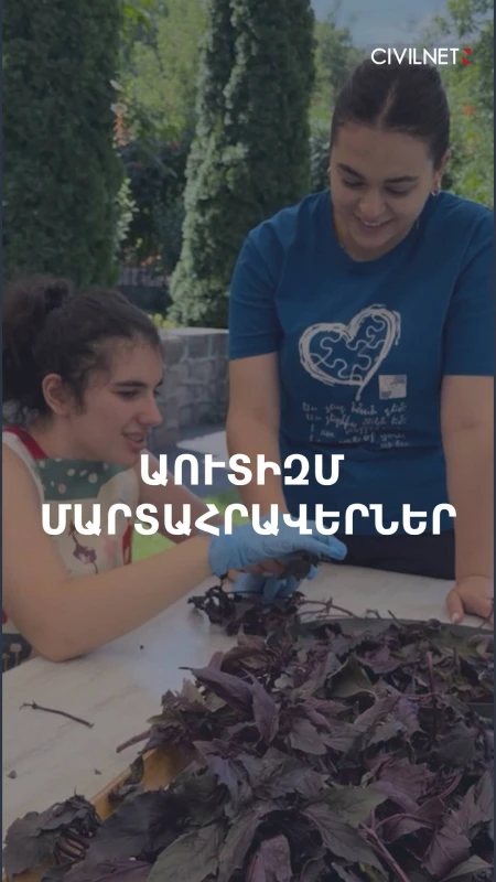 Աուտիզմ ունեցող երեխաների խնդիրները Հայաստանում, Վրաստանում և Մոլդովայում