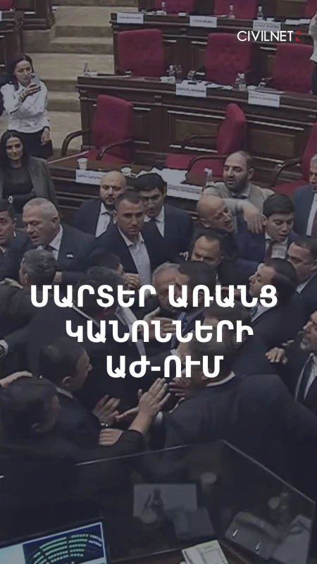 «Բռունցքային բարեվարքություն» Ազգային ժողովում