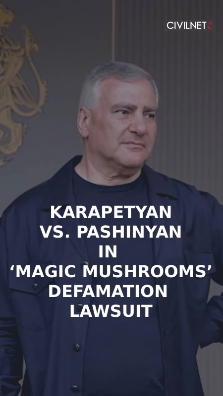 Billionaire Karapetyan sues Pashinyan in a defamation case involving ‘magic mushrooms’