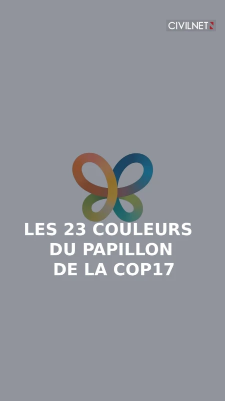 L’Azuré d’Erevan, symbole de la COP17