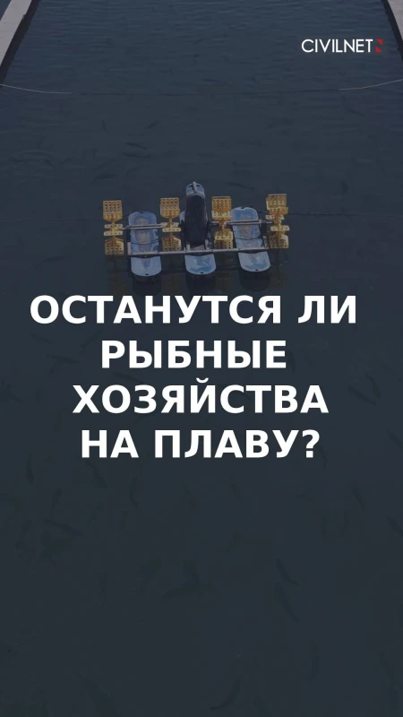 Российские санкции бьют по армянским рыбным хозяйствам