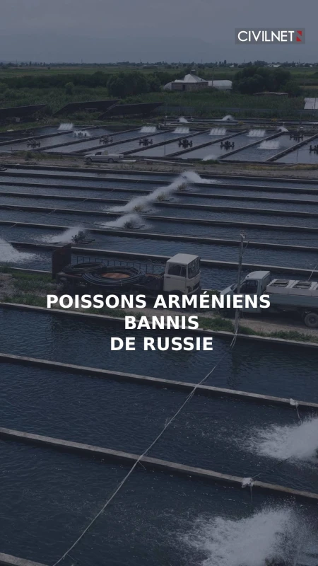 Les pisciculteurs arméniens dans l'impasse après les restrictions russes
