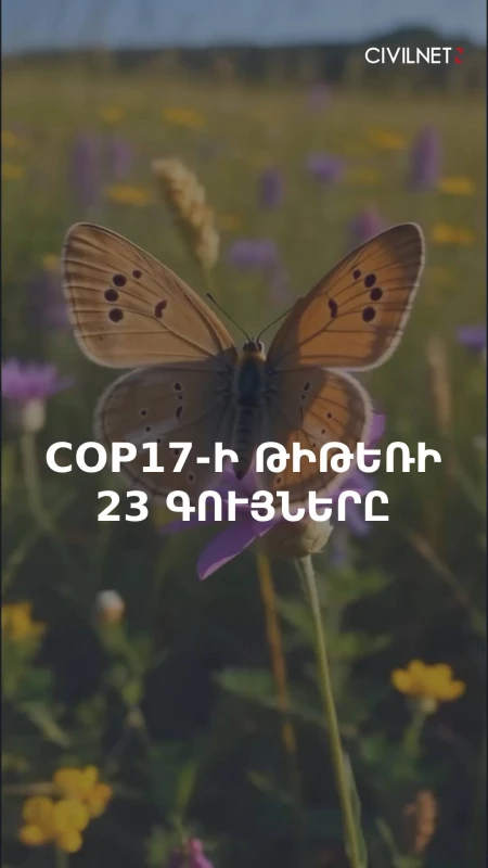 Երևանյան կապտաթիթեռը՝ COP17-ի խորհրդանիշ