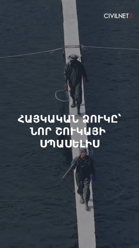 «Գիշեր-ցերեկ չունենք»․ ձկնաբույծները՝ նոր շուկաներ որոնելու մասին