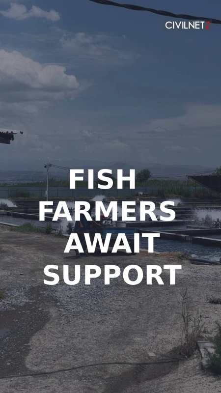 Hovtashat: Fish Farmers Face a Crisis and Await Government Support