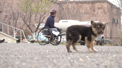 Despite Disability: A Paralympian’s   Story