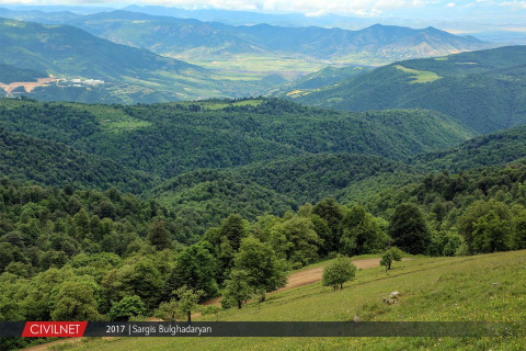 Doubts Remain on Feasibility of Armenian Government’s Plan to Plant Ten Million Trees