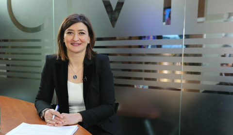 Is Armenia’s Demographic Decline Reversible?