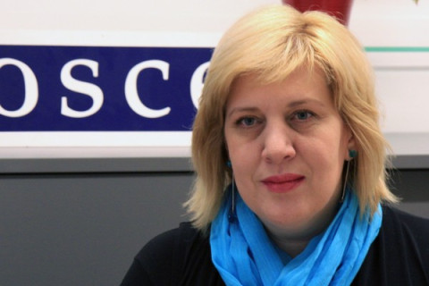 OSCE, EU, US Embassy in Armenia Concerned with Excessive Police Use of Force