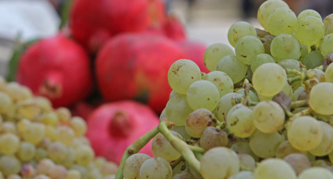 Հայաստանում գինեգործության պատմությունը