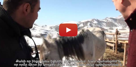 Թիմը գնում է Ուրցաձոր | Straight to Urtsadzor