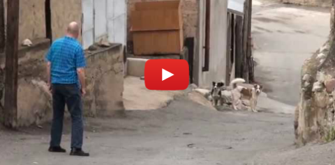 Թիմը գնում է Մեղրի | Straight to Meghri