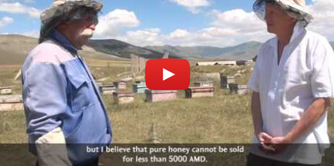 Թիմը գնում է մեղր ուտելու / Straight to Honey Producers