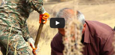 Անտառի ծնունդը. ազատ հայացք | Planting a Forest