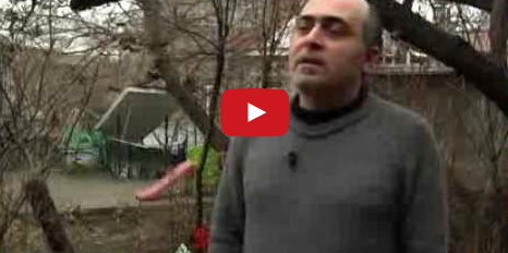 Որոնման հայալեզու նոր համակարգ