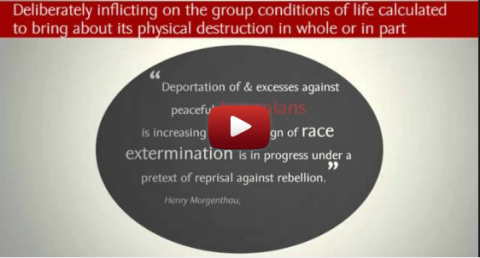 The Crime of Genocide