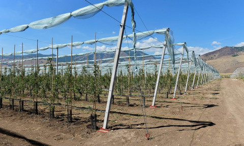 Ինչպես զարգացնել գյուղատնտեսությունը COVID-19-ի ժամանակ և հետո