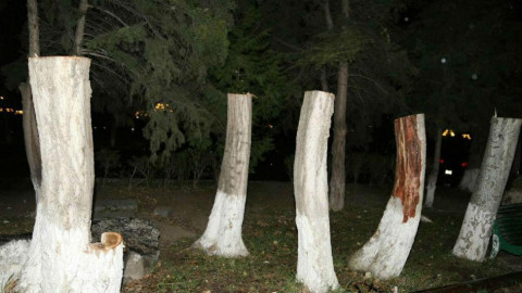 Բարբարոսությու՞ն. իյա, իրո՞ք