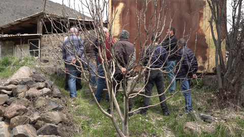 Երբ բակումդ գերեզմանոց ես գտնում