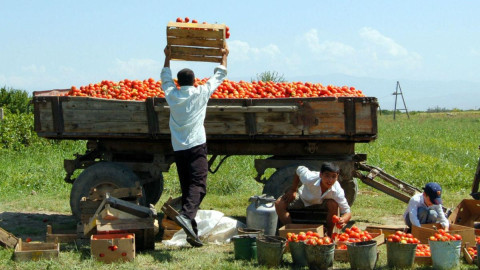 Հինգ քայլ՝ ինչպես սկսել տնտեսական հեղափոխությունը  