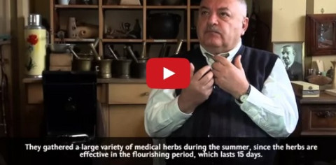 Թաքնված Երևան: Բժիշկ հավաքորդը | Hidden Yerevan: The Doctor-Collector