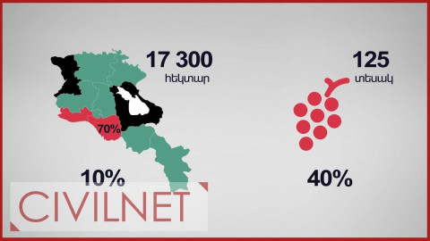 Գինին ու մենք․ որքան ենք խմում և որքան՝ արտադրում