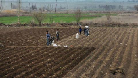 51 քրեական գործ՝ պարարտանյութի և սերմացուի բաշխման գործընթացում չարաշահումների դեպքերով