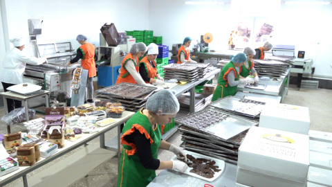 Straight to the village/ Dried Fruit Food Factory Թիմը գնում է գյուղ. Չորացրած մրգերի արտադրություն