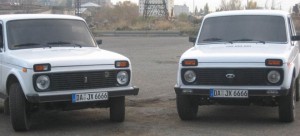 Հանուն սպիտակ Նիվաների