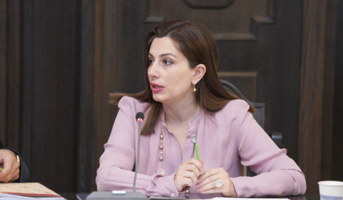 Հայաստանում կապիկի ծաղկի որևէ դեպք չի գրանցվել. Ավանեսյան