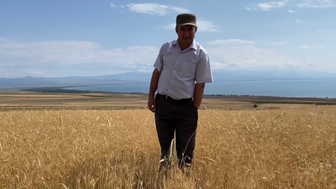 Վարդենիսի շրջանում երաշտ եղե՞լ է, թե՞ ոչ․ գյուղացիներն ու «Ռոսգոսստրախ Արմենիան» տարակարծիք են