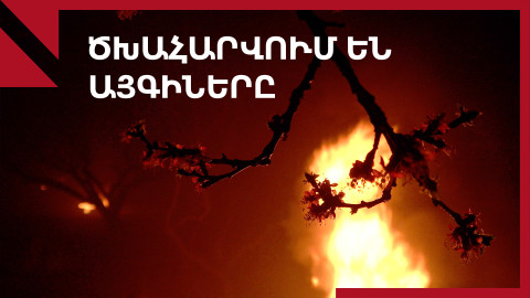 Արարատյան դաշտ․ գյուղացիները ծխահարում են այգիները