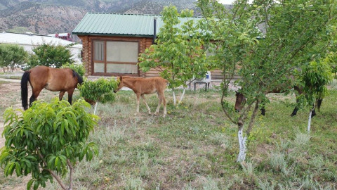 Գործընկերություն՝ շրջակա միջավայրի պահպանության և համայնքների զարգացման համար