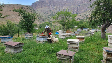 Վիվա-ՄՏՍ. Էկոլոգիական գիտակցության ձևավորում՝ նորագույն տեխնոլոգիաների միջոցով