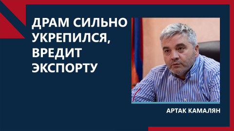 У Армении от вступления в ЕАЭС больше плюсов, чем минусов: Артак Камалян