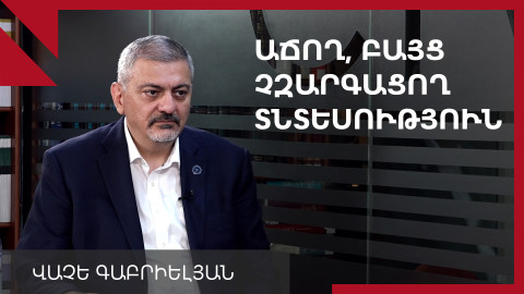 Վերաարտահանման մի ճյուղ կա, որն արժեք է ստեղծում Հայաստանում. Վաչե Գաբրիելյան