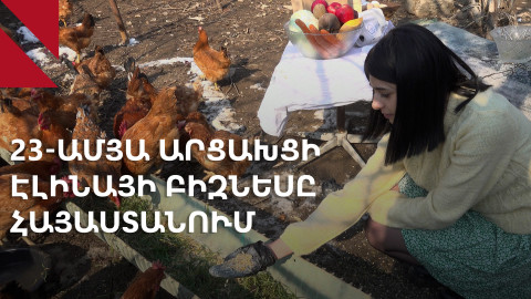 Օրգանական հավեր և հավկիթներ․ արցախցի 23-ամյա Էլինայի բիզնեսը Հայաստանում