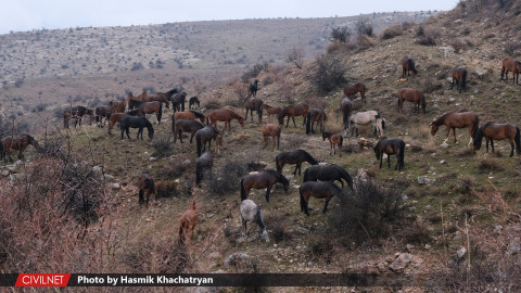 Մոզրով. Վայոց ձորի վեց ընտանիք ունեցող գյուղը