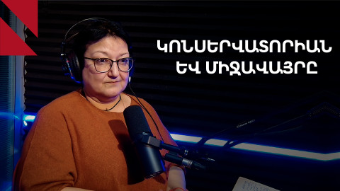 Ակադեմիական քաղաքում կարող է լինել երաժշտական ինստիտուտ, բայց ոչ Կոնսերվատորիա 