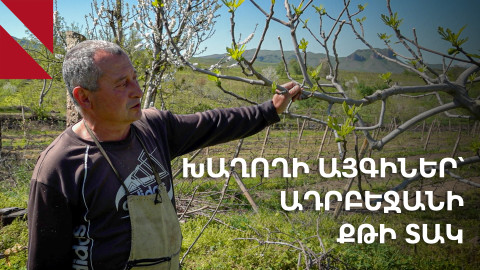 Արծվաբերդ․ խաղաղությունը, խաղողն ու մարդիկ