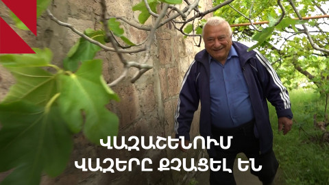 Վազաշեն, Տավուշ․ մաշվող գյուղի առօրյան 