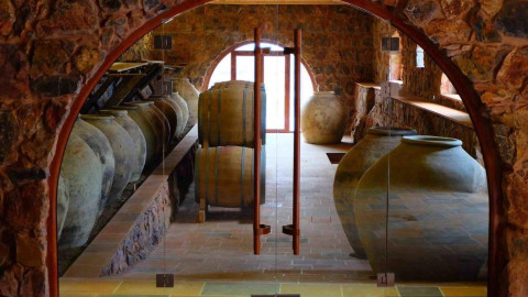 Armenian Wine: A Journey Through Time and Terroir