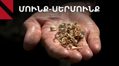 «Մունք-Սերմունք»․ ծաղիկների սերմերի արտադրություն՝ 2 150 մետր բարձրության վրա