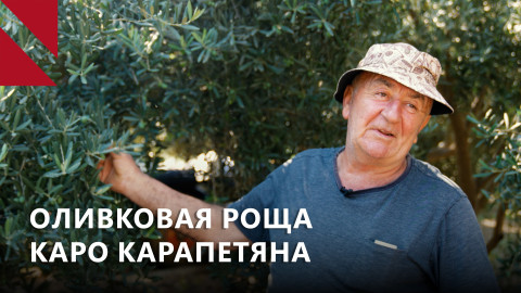 Мегри: там, где оливки растут вопреки всему