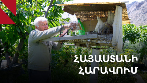 Քչով բավարարվող ու աշխատասեր մեղրեցին