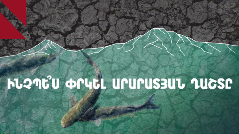Ձկնաբուծարաններն ու Արարատյան դաշտի աղետը