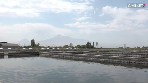 Massive fish farming threatens Armenia's Ararat Valley water system
