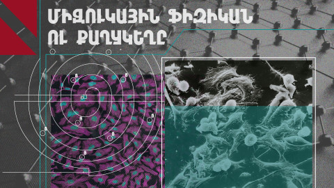 Ճապոնիայից՝ Շվեյցարիա․ Հայաստանը միջազգային գիտական հարթակներում