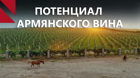 Возрождение армянского виноделия: древние сорта обретают новое звучание