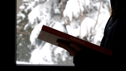 A winter wonderland of books  